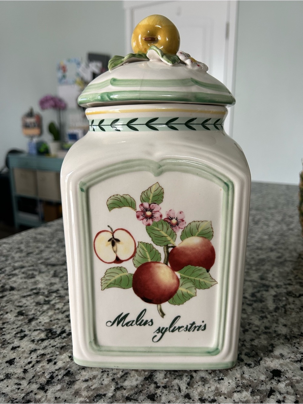 Villeroy&Boch French Garden Canister In The Charm”Malus Sylvestris”Apple Design